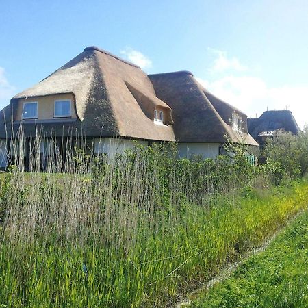 Апартаменти Haus-Duewelswarft-Whg-Delphin Занкт-Петер-Ордінг Екстер'єр фото